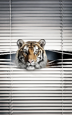 Fensterrollo innen tiger