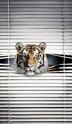 Fensterrollo innen tiger