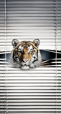 Fensterrollo innen tiger