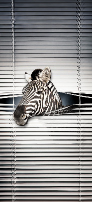 Rollo Fenster