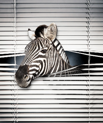 Rollo Fenster