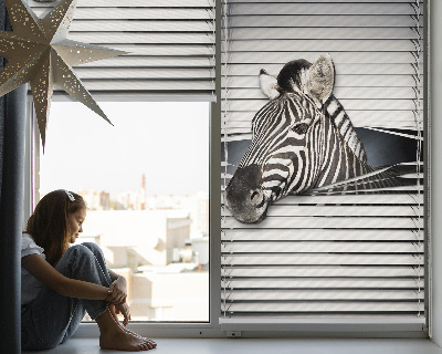 Rollo Fenster