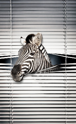 Rollo Fenster