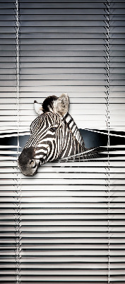 Rollo Fenster