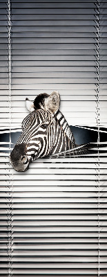 Rollo Fenster