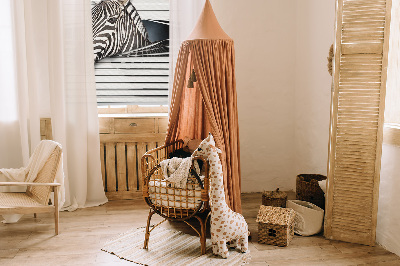 Rollo Fenster