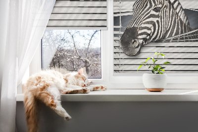 Rollo Fenster