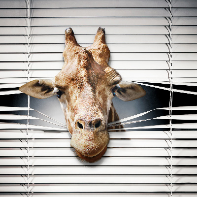 Fensterrollo mit Giraffenmotiv