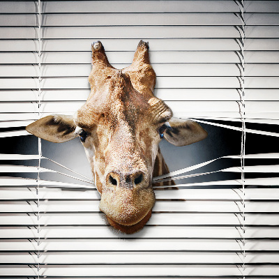 Fensterrollo mit Giraffenmotiv