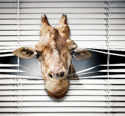 Fensterrollo mit Giraffenmotiv