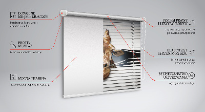 Fensterrollo mit Giraffenmotiv