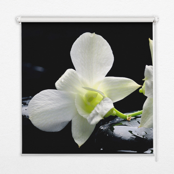 Fenster Rollo mit Orchideenmuster in elegantem Design