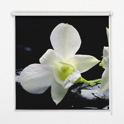 Fenster Rollo mit Orchideenmuster in elegantem Design