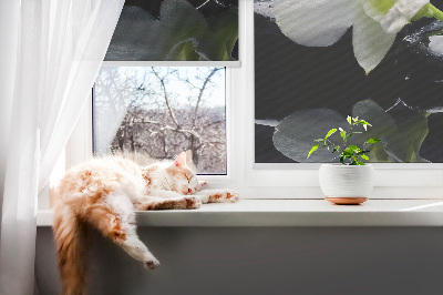 Fenster Rollo mit Orchideenmuster in elegantem Design