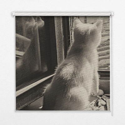 Verdunkelungsrollo mit Motiv „Katzen im Fenster“