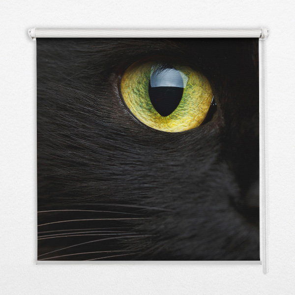 Fenster Rollo mit Katzenaugen-Motiv