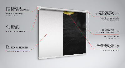 Fenster Rollo mit Katzenaugen-Motiv
