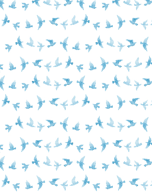 Fenster Rollo mit blauem Vogelmotiv