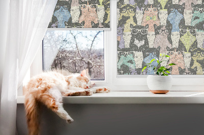 Rollo lichtundurchlässig mit Katzenmotiv