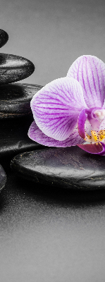 Fenster Rollo mit Orchideenmotiv auf Steinen