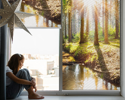 Fenster Rollo in lichtdurchlässigem Stoff mit Motiv „Die Sonne scheint durch die Bäume“