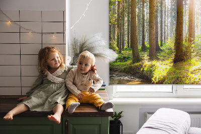 Fenster Rollo in lichtdurchlässigem Stoff mit Motiv „Die Sonne scheint durch die Bäume“