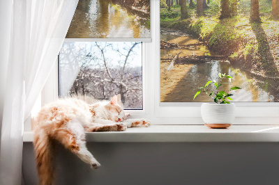 Fenster Rollo in lichtdurchlässigem Stoff mit Motiv „Die Sonne scheint durch die Bäume“