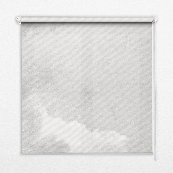 Fenster Rollo in der Farbe Grauer Himmel