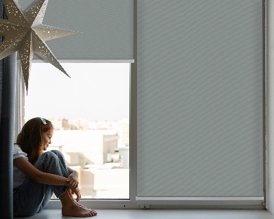 Fenster Rollo in Grau