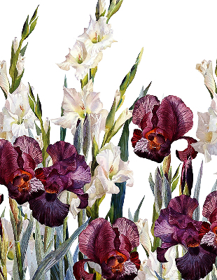 Rollo lichtundurchlässig mit kleinem Blumenmuster