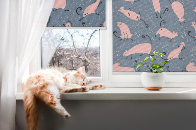 Fenster Rollo in Rosafarben mit Katzenmotiv