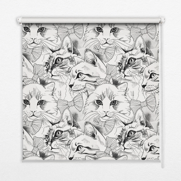 Rollo lichtundurchlässig mit gezeichnetem Katzenmotiv