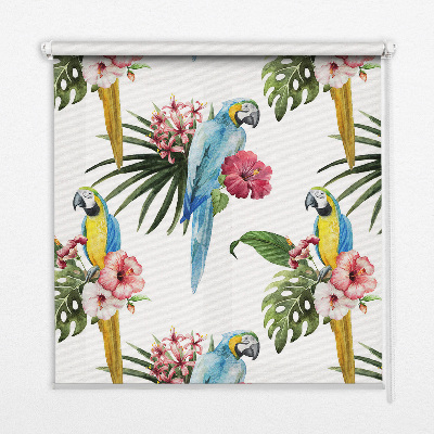 Rollo lichtundurchlässig mit Papagei-Motiv auf Blumen