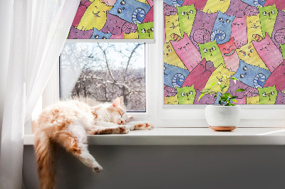 Fenster Rollo mit buntem Katzenmotiv