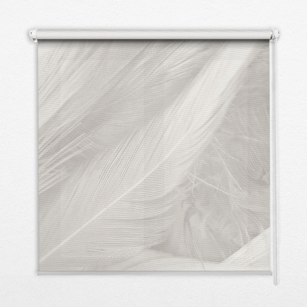 Fenster Rollo mit Federmechanismus