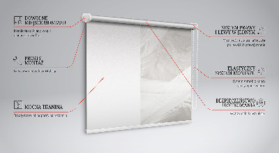 Fenster Rollo mit Federmechanismus