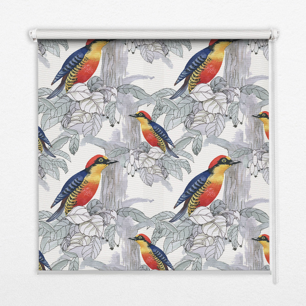 Rollo lichtundurchlässig mit farbenfrohem Vogelmotiv