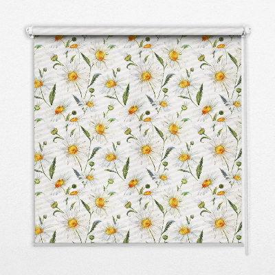 Fenster Rollo mit Gänseblümchen-Motiv