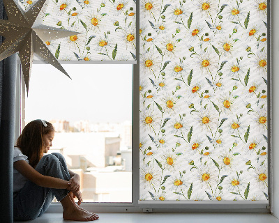 Fenster Rollo mit Gänseblümchen-Motiv