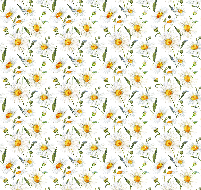 Fenster Rollo mit Gänseblümchen-Motiv