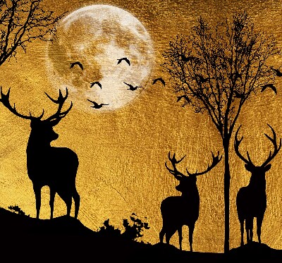 Fenster Rollo mit Motiv ‚Hirsche bei Nacht‘