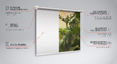 Fenster Rollo mit Pflanzenrahmen zur Befestigung an Fensterrahmen