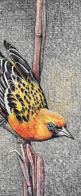 Verdunkelungsrollo mit Motiv eines Vogels auf einem Ast