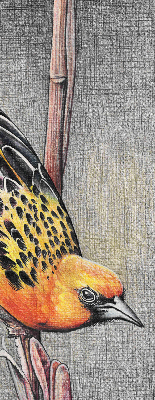 Verdunkelungsrollo mit Motiv eines Vogels auf einem Ast