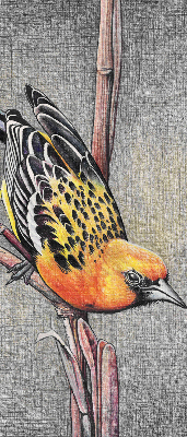Verdunkelungsrollo mit Motiv eines Vogels auf einem Ast