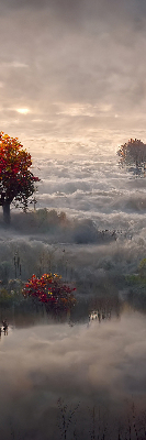 Rollo lichtundurchlässig mit Motiv Bäume im Nebel