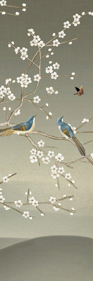 Fenster Rollo mit Motiv Vögel auf einem Ast