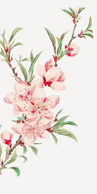 Fenster Rollo in rosa mit Blumenmuster