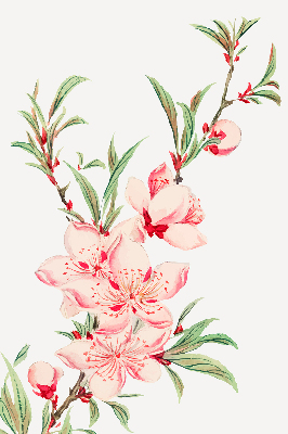 Fenster Rollo in rosa mit Blumenmuster