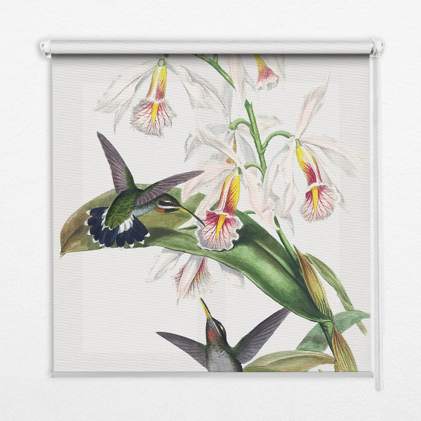 Verdunkelungsrollo mit Motiv von Vögeln auf einer Blume